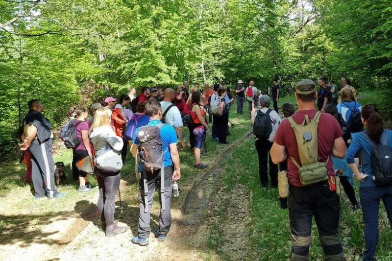 2024.04.14-01 Gazos-kő körtúra - Észak Mátra túra