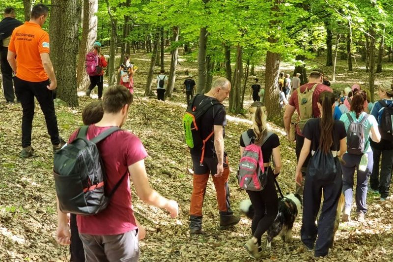 2024.04.14-03 Gazos-kő körtúra - Észak Mátra túra