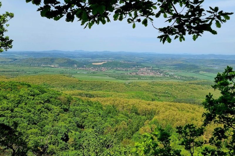 2024.04.14-07 Gazos-kő körtúra - Észak Mátra túra