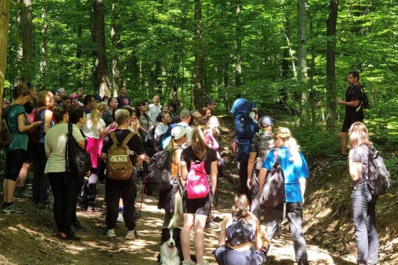 2024.06.16-01 Kis-lipóti körtúra - Észak Mátra túra