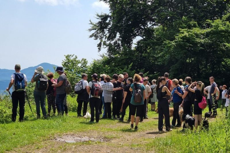 2024.06.16-02 Kis-lipóti körtúra - Észak Mátra túra