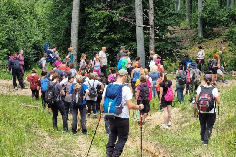 2024.06.16-04 Kis-lipóti körtúra - Észak Mátra túra