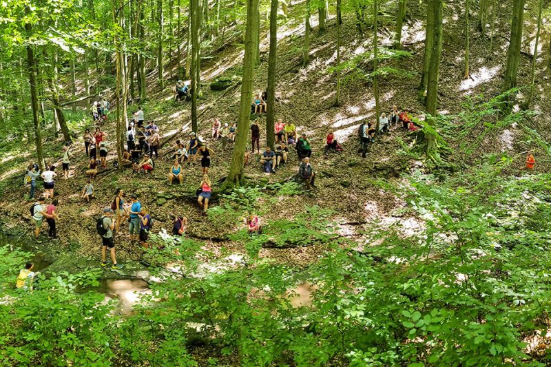 2024.08.11-02 Köszörű-völgyi körtúra - Északa Mátra túra
